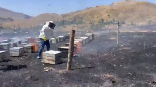 Adıyamanda otluk alan yangını 200 arı kovanını kül etti
