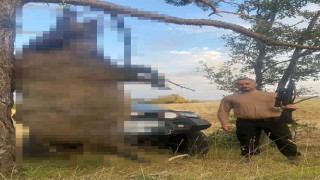 Akdağmadeninde yaklaşık yarım tonluk dev yaban domuzu öldürüldü