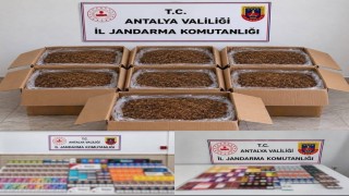 Alanya ve Döşemealtı'nda kaçak tütün operasyonu