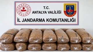Alanyada 144 kilo kaçak tütün ele geçirildi