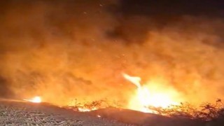 Alevlerin arasında kalan at son anda kurtarıldı