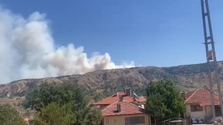 Ankara-Çankırı sınırında orman yangını