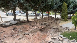 Ankarada yol genişletme çalışmalarında 40 ağacın kesilmesi kararına tepki