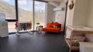 Anne dostu oto showroom