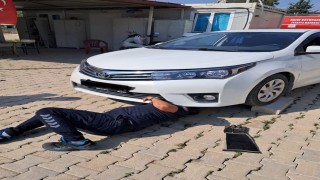 Antakya ve İskenderunda araçlarda mahsur kalan kediler kurtarıldı