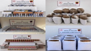 Antalyada 1 ton 150 kilogram kıyılmış tütün ele geçirildi