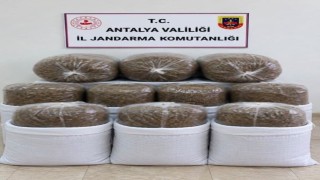 Antalya'da üç ilçede kaçak tütün operasyonu: 400 kilogram tütün ele geçirildi