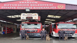 Arama kurtarma köpeklerinin eğitim üssü Trabzon oldu