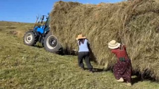 Ardahan'da kışlık yem telaşı: Çiftçiler zorlu şartlara rağmen hasada devam ediyor