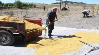 Ata mesleğini geleneksel yöntemlerle sürdürüyor, 41 yıldır bulgur üretiyorlar