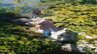 Avcılar ihbar etti, ekipler topladı: Kaçak avcılık düzenekleri imha edildi