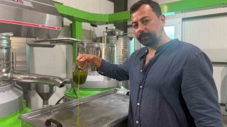 Avrupa ilaç yerine ilk hasat zeytinyağı içiyor