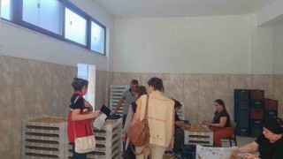Aydın incirinin güvenilirliği için sahada titiz denetim