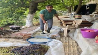 Aydın'da üzümler pekmeze dönüştürülmeye başlandı