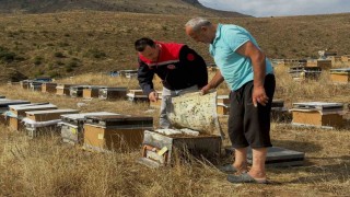 Aydıntepe'de 2026 yılı arılı kovan tespitleri başladı