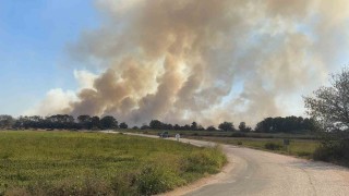 Babaeskide mera yangını: Dumanlar kilometrelerce uzaktan görüldü