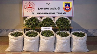 Bafrada 63 kilo kubar esrar ele geçirildi