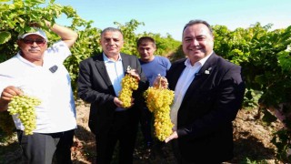 Bağ Bozumu Şenliği Manisalılardan tam not aldı
