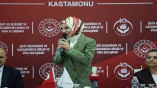 Bakan Göktaş: Bugün geldiğimiz noktada terörsüz bir Türkiyeye doğru emin adımlarla ilerliyoruz