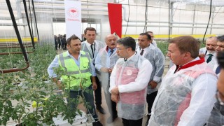 Bakan Yumaklı, Erzincan'daki jeotermal sera alanını inceledi