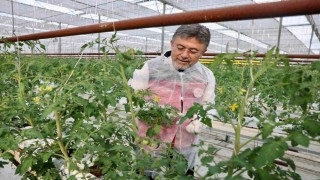 Bakan Yumaklı'dan Erzincan'da jeotermal sera mesajı