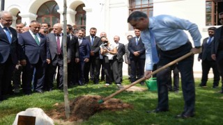 Bakanı Çiftçi, adını taşıyan çınar fidanını dikerek can suyu verdi