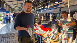 Bandırma'da balık tezgâhlarında palamut bereketi