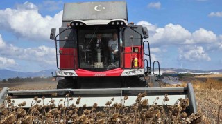 Bandırma'da kaymakam tarlaya indi, ayçiçeği hasadına katıldı