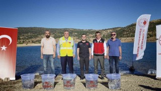 Baraj ve göletler 122 bin yavru balıkla buluştu