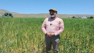 Başkan Çolakbayrakdar: "Ekiyoruz, üretiyoruz, hasat ediyoruz ve ailelerimizle paylaşıyoruz"