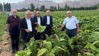 Başkan Özkan: Çelikhanda dolu yağışı tütün üreticilerini vurdu