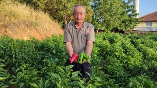 Başkan Pütün; Yerel ürünlerimiz Beyağaçın zenginliği