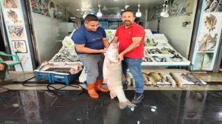 Batmanda 1,5 metre uzunluğunda 69 kiloluk dev balık tezgaha çıktı