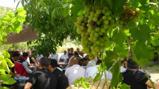 Batmanda mezrone üzümü için tarihi adım: Bağlıca köyünde kooperatifleşme heyecanı