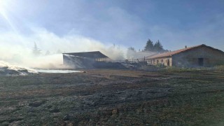 Beyşehir ve Hüyükte çıkan anız yangınları paniğe neden oldu