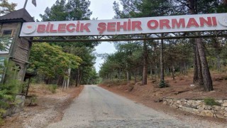 Bilecik Şehir Ormanı'nın yolları köstebek yuvasına döndü