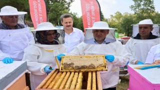Bilecikte 22 bin 500 kovandan 135 ton bal üretiliyor
