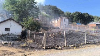 Bilecikte orman yangınına sebebiyet veren şahıs gözaltına alındı