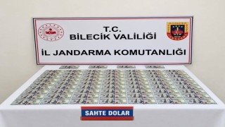 Bilecik'te otomobilde 202 adet sahte dolar ele geçirildi
