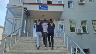 Bingöl'de 5 bin 176 kök kenevir ele geçirildi