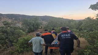Bingöl'de kaybolan şahıs ormanlık alanda bulundu