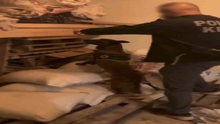 Bingöl'de uyuşturucu taciri tutuklandı