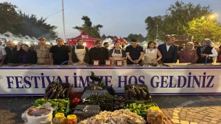 Birecik'te Kelaynak, Patlıcan ve Fıstık Festivali coşkusu