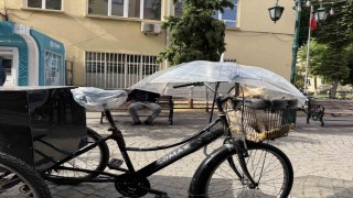 Bisiklet sepetindeki köpeğini yağmurdan şemsiye ile korudu