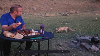 Bitliste piknik sofrasına davetsiz misafir