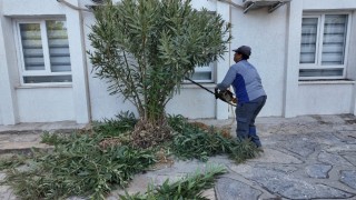 Bodrum Belediyesinden okullara bakım ve onarım desteği