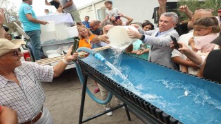Bodrum'da balık festivali için geri sayım başladı