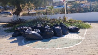 Bodrumda ot temizliği çalışmaları sürüyor