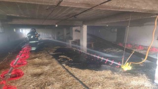 Bolu'da 10 bin kapasiteli kümeste yangın