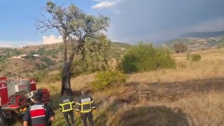 Boluda ağaca düşen yıldırım yangına sebep oldu